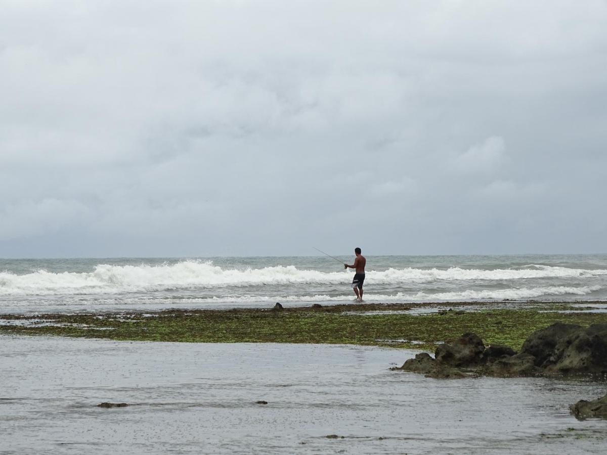 Hostel Terra Viva Praia de Pipa 外观 照片