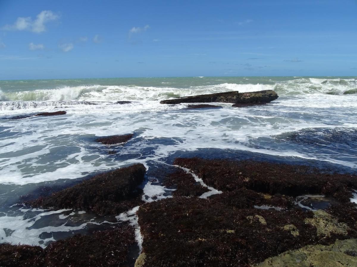 Hostel Terra Viva Praia de Pipa 外观 照片