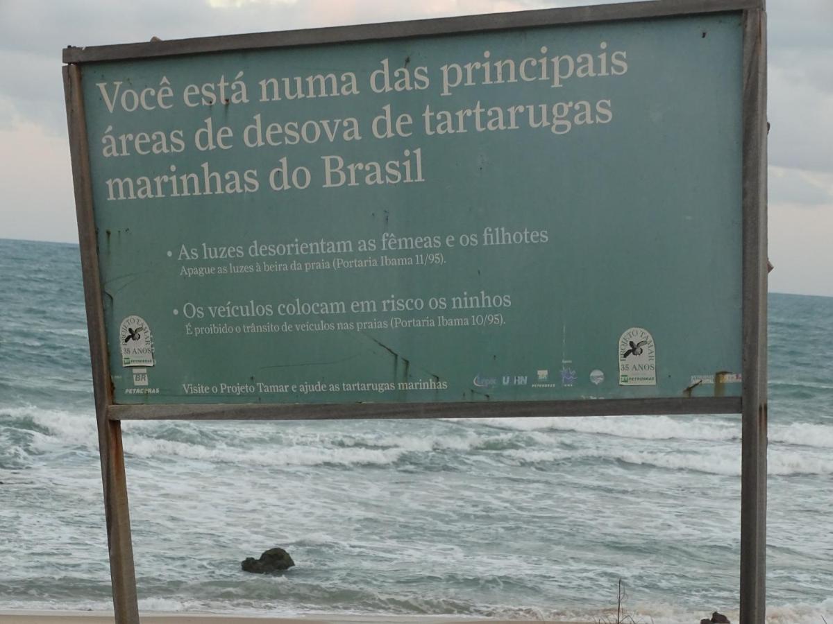 Hostel Terra Viva Praia de Pipa 外观 照片
