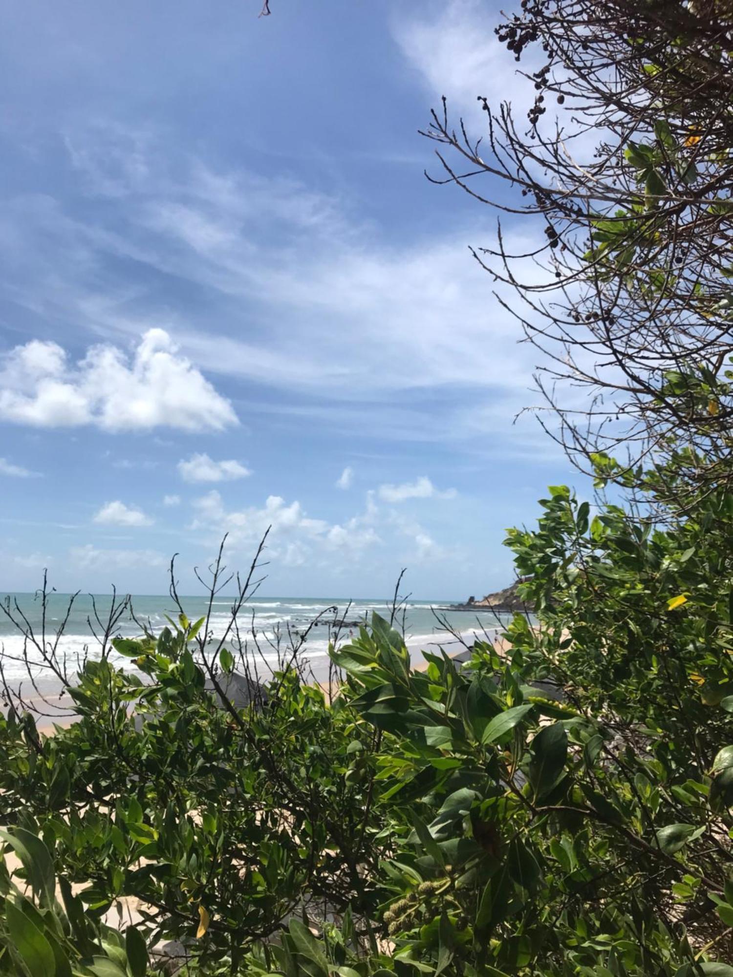 Hostel Terra Viva Praia de Pipa 外观 照片